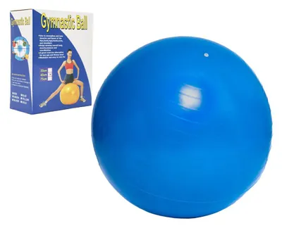 Obrázok produktu pre Gymnastický míč, 65 cm, rehabilitačný, relaxačný, v balení 16x22 cm