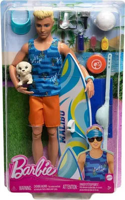 Obrázek produktu pro Barbie HPT50, Módní panenka, Muži, 3 rok/roky, Chlapec/děvče, 305 mm, 345 g