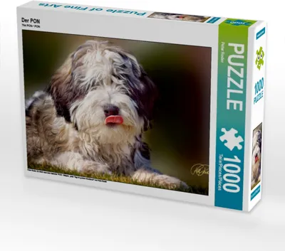 Produktbild von Calvendo Der PON 1000 Teile Puzzle quer 640x480mm, Roder Peter; 7303314