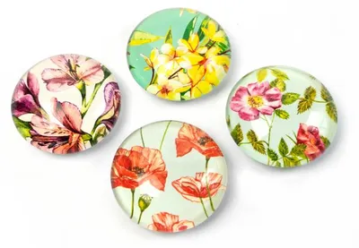 Produktbild von Trendform EY2039, 13 mm, 3,5 cm, 4 Stück(e), 48 Stück(e)
