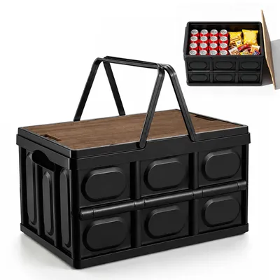 Faltbare Aufbewahrungsbox 30 L mit Deckel, 43x30x24 cm