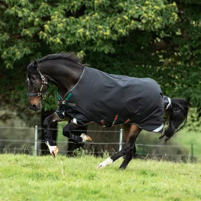 Obrázok produktu pre Horseware Rambo Original s oblúkmi na nohy Turnout Medium 200g - čierna/zelená, 115