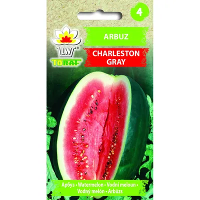 Produktbild von Wassermelone CHARLESTON GRAY 1g