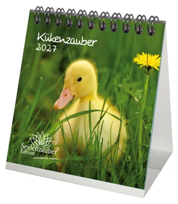 Produktbild von Kükenzauber Tischkalender 10x10cm für 2027 Küken - Seelenzauber