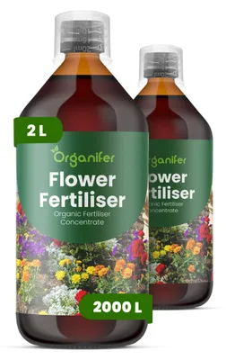 Obrázok produktu pre Flower – Tekuté hnojivo 2x1 L – 3-4-3 NPK – Pre kvitnúce rastliny – Pre zdravé rastliny a silnú tvorbu kvetov – Podporuje korene a vitalitu – Organický produkt