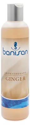Produktbild von Banisan Badezusatz Ginger, Aromatherapie 250 ml, ergiebig, nicht schäumende Rezeptur für Whirlpools