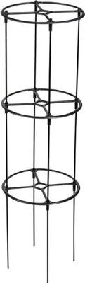 Produktbild von Plastia Berberis Spalier Pflanzenstütze 132,5 cm hoch x 38 cm rund
