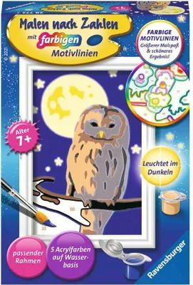 Produktbild von Nachteule Ravensburger 28772