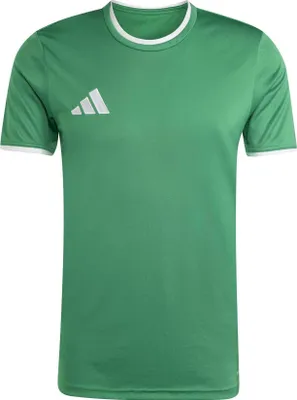 Produktbild von adidas Entrada 26 Trikot L team green/white