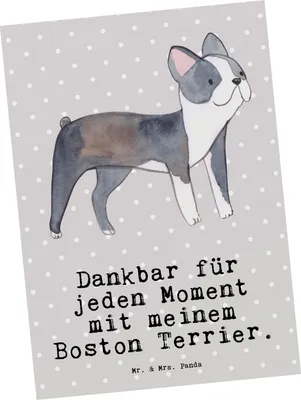 Produktbild von Mr. & Mrs. Panda Postkarte Boston Terrier Moment - Grau Pastell - Geschenk, Postkarten, bildkarte, Ansichtskarte, Grußkarte, Fotokarte