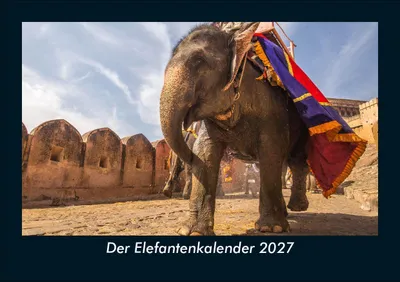 Produktbild von Der Elefantenkalender 2027 Fotokalender DIN A5