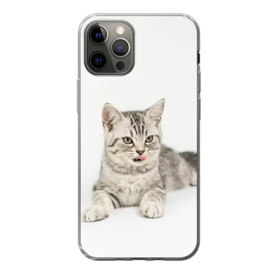 Produktbild von MuchoWow® Handyhülle Schutzhülle Hülle für iPhone 13 Pro Kitten - Weiß - Sohle - Mädchen - Kinder - Jungen - Kind Silikon Softcase Handy Hülle - Handy-Tasche