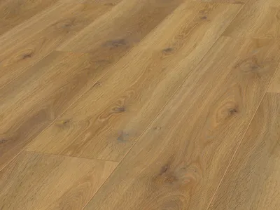 Produktbild von Laminat Jangal 8103 Nairobi Oak National Park Line Ultimate 8mm
