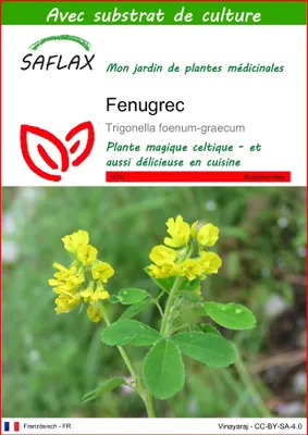 Image de SAFLAX  - Fenugrec - 100 graines - Avec substrat - Trigonella