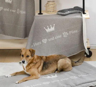 Produktbild von David Fussenegger Haustierdecke Ein Herz und eine Pfote 70 x 90 cm Rauch GRS