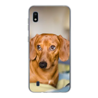 Produktbild von MuchoWow® Handyhülle Schutzhülle Hülle für Samsung Galaxy A10 Dackel liegend auf einem Bett Silikon Softcase Handy Hülle - Schutzhülle