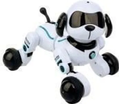 Image de Robopies Twist