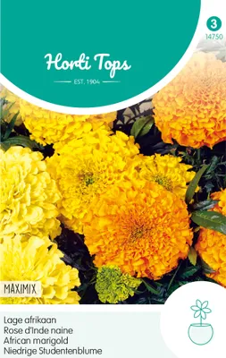 Produktbild von Niedrige Studentenblume Maximix Mischung | Studentenblumensamen von Hortitops [MHD 07/2026]