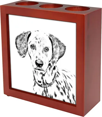 Immagine prodotto di Art-Dog Portapenna – Dalmata