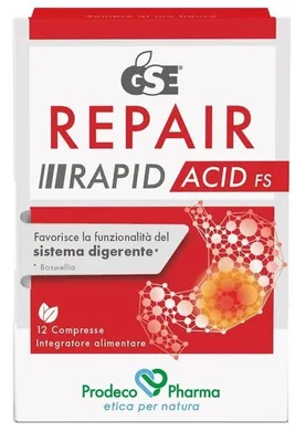 Produktbild von GSE REPAIR RAPID ACID FS 12, komprimiert