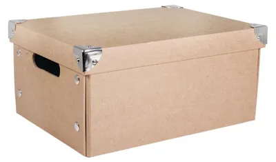Papier-maché-Aufbewahrungsbox, faltbar, 30x22x14 cm, natur