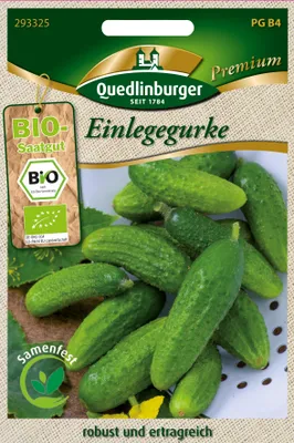 Produktbild von Einlegegurke dunkelgrün |  Einlegegurkensamen von Quedlinburger