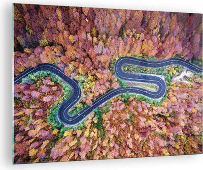 Produktbild von Bilder auf glas - Einteilig - Kurvenreich Weg Wald - 70x50cm - Glasbilder - Wandbilder - Bilder - zum Aufhängen bereit - Wanddekoration aus Glas - Glas Bilder - Wandbild auf Glas - GAA70x50-4291