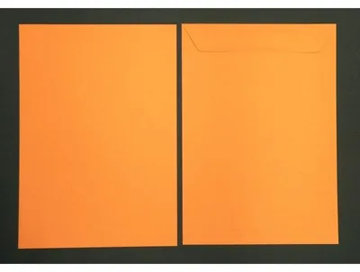 Produktbild von Versandtaschen 220x312mm 120g/qm gummiert VE=100 Stück apfelsine