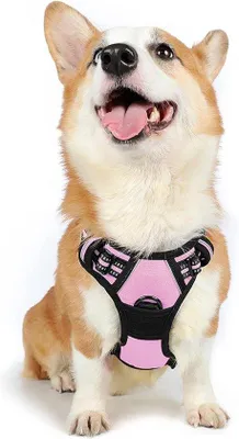 Produktbild von Verstellbares Hundeharness, atmungsaktiv, S-XXL, schwarz, rosa, blau