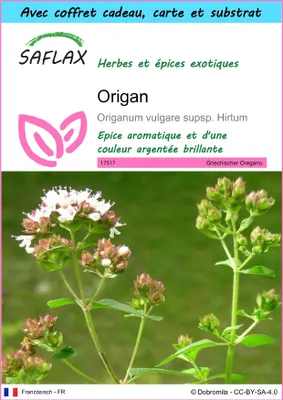 Image de SAFLAX Ensemble-cadeau - Origan - 600 graines - Origanum