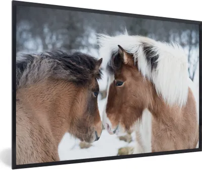 Produktbild von MuchoWow® Gerahmtes Poster Pferde - Schnee - Braun 60x40 cm - Poster mit Schwarzem Bilderrahmen Wandposter Rahmen Foto Bilder - Printing - Wanddeko Schlafzimmer