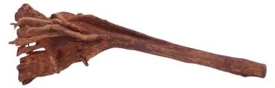 Produktbild von M Jungle Wood Wurzel Nr.4465 Holz Deko Aquascaping