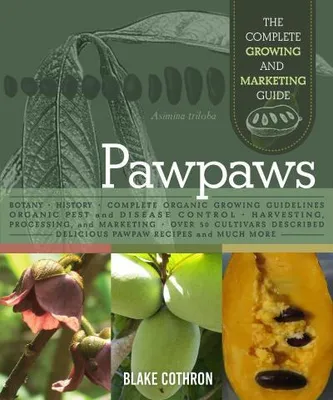 Image de Pawpaws