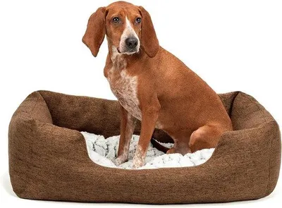 Image de Lit moelleux pour chien avec matelas réversible, M 80 x 60 cm