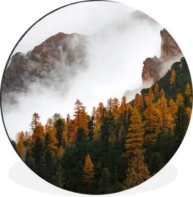 Produktbild von MuchoWow® Aluminium Wandkreis Berg - Nebel - Wald Ø 60 cm Wanddeko Modern Wohnzimmer - Wand Kreis - Wandbild - Schlafzimmer - Aluminium Bild - Kinderzimmer - Wohnzimmer Dekoration - Wandschmuck