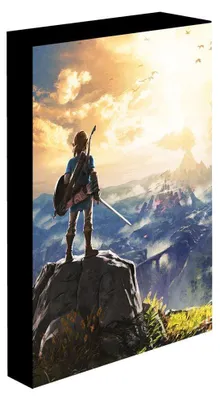 Leucht-Canvas The Legend of Zelda 30x40 cm