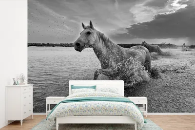 Produktbild von MuchoWow® Fototapete für Wohnzimmer oder Schlafzimmer Wandtapete Vinyl Motivtapete Pferd - Wasser - Tropfen - 420x280 cm - Zimmer für Kinder