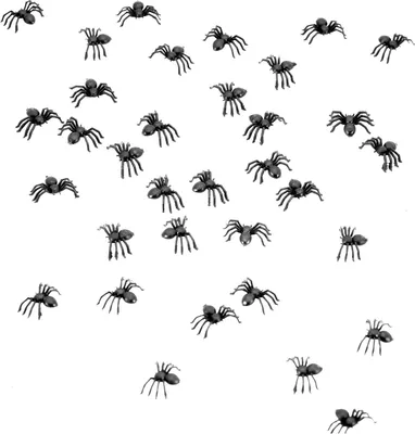 Produktbild von 80 Mini-Spinnen