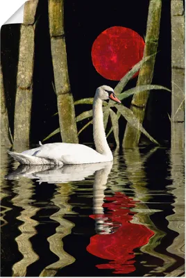 Produktbild von ARTland Poster Blutmond über dem Schwanensee Größe: 40x60 cm