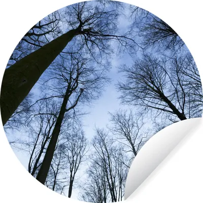 Produktbild von MuchoWow® Runde Wandtattoo - Wandsticker Tapete Aufkleber Wald - Bäume - Himmel Ø 30 cm Selbstklebend und Repositionierbar - Wandaufkleber - Kreis - Wandbild - Fototapete - Selbstklebend - Dekoration - Wandschmuck - Schlafzimmer