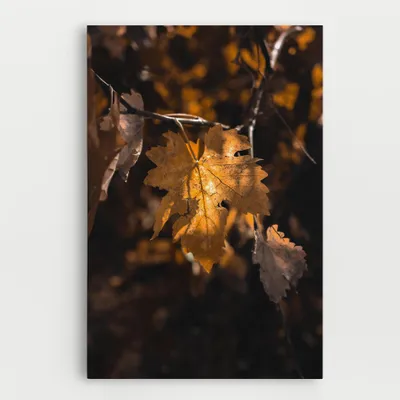 Produktbild von ARTHUB® Leinwandbild 30x40 cm, Autumn Brown Leaf | Wohnzimmerdekoration, Hängende Bilder, Wanddekoration, Heimdekoration, Landschaften, Herbst