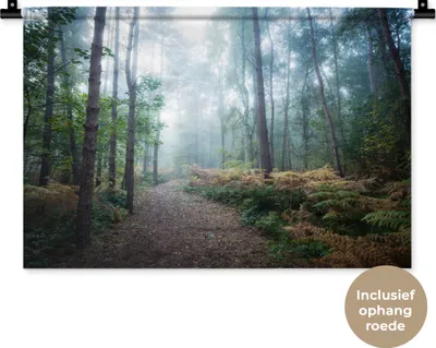 Produktbild von MuchoWow® Wandteppich Wandbehang Wald - Nebel - Weg 60x40 cm Tapisserie Dekoration Wandtuch - Wanddekorationen
