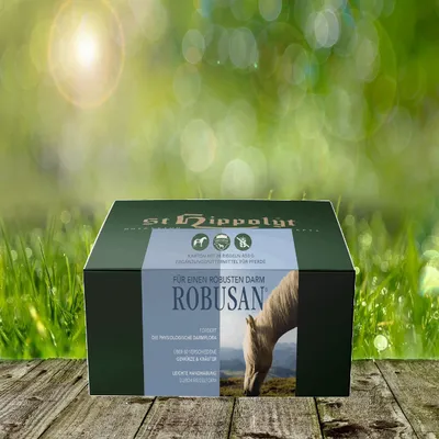 Produktbild von St Hippolyt Robusan - Der Darmriegel mit 28 Riegeln je 40 g