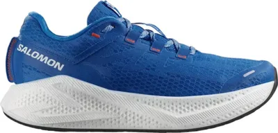 Produktbild von Schuhe Salomon Aero Glide 3 478105