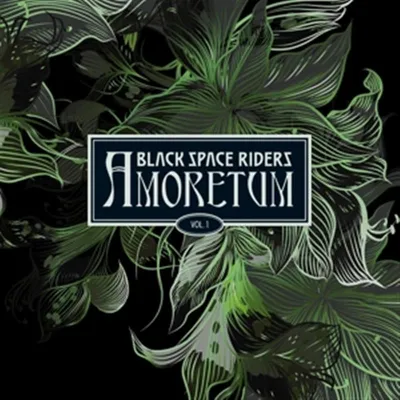 Produktbild von Black Space Riders: Amoretum Vol.1