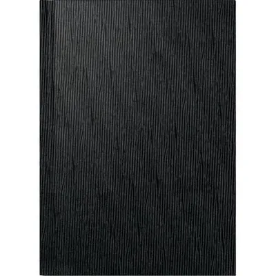 Produktbild von 2025 Rido BuchkalenderMentor sw 1T/1SValencia