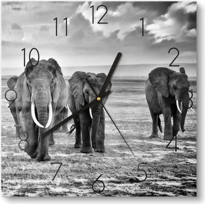 Produktbild von DEQORI Glasuhr 30x30 cm Zahlen 'Elefantenmarsch' Wanduhr Glas Uhr Design leise Küchenuhr