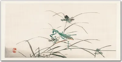 Produktbild von Coloray Küchenrückwand 100x50 Spritzschutz aus Glas - Insekten Zweige