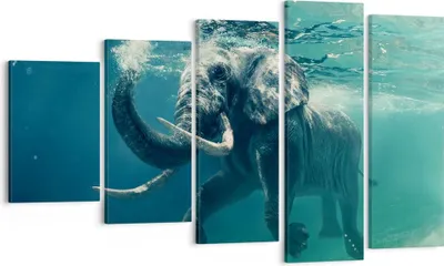 Produktbild von Bild auf Leinwand - Leinwandbild - Elefant Tier Wasser - 100x60cm - Wand Bild - Wanddeko - Leinwanddruck - Bilder - Kunstdruck - Wanddekoration - Leinwand bilder - Wandkunst - EG100x60-3944