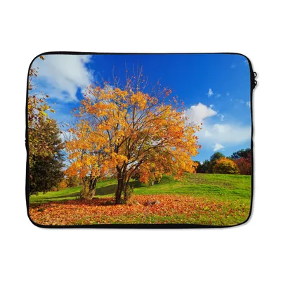 Produktbild von MuchoWow® Laptop Hülle 15 Zoll Baum - Blätter - Herbst - Jahreszeiten Laptoptasche - Laptoptasche - Sleeve - Rundum-Schutz